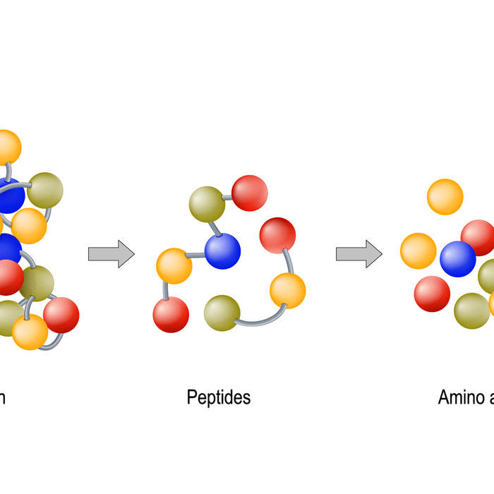 Peptides: Why They Are Good For The Skin