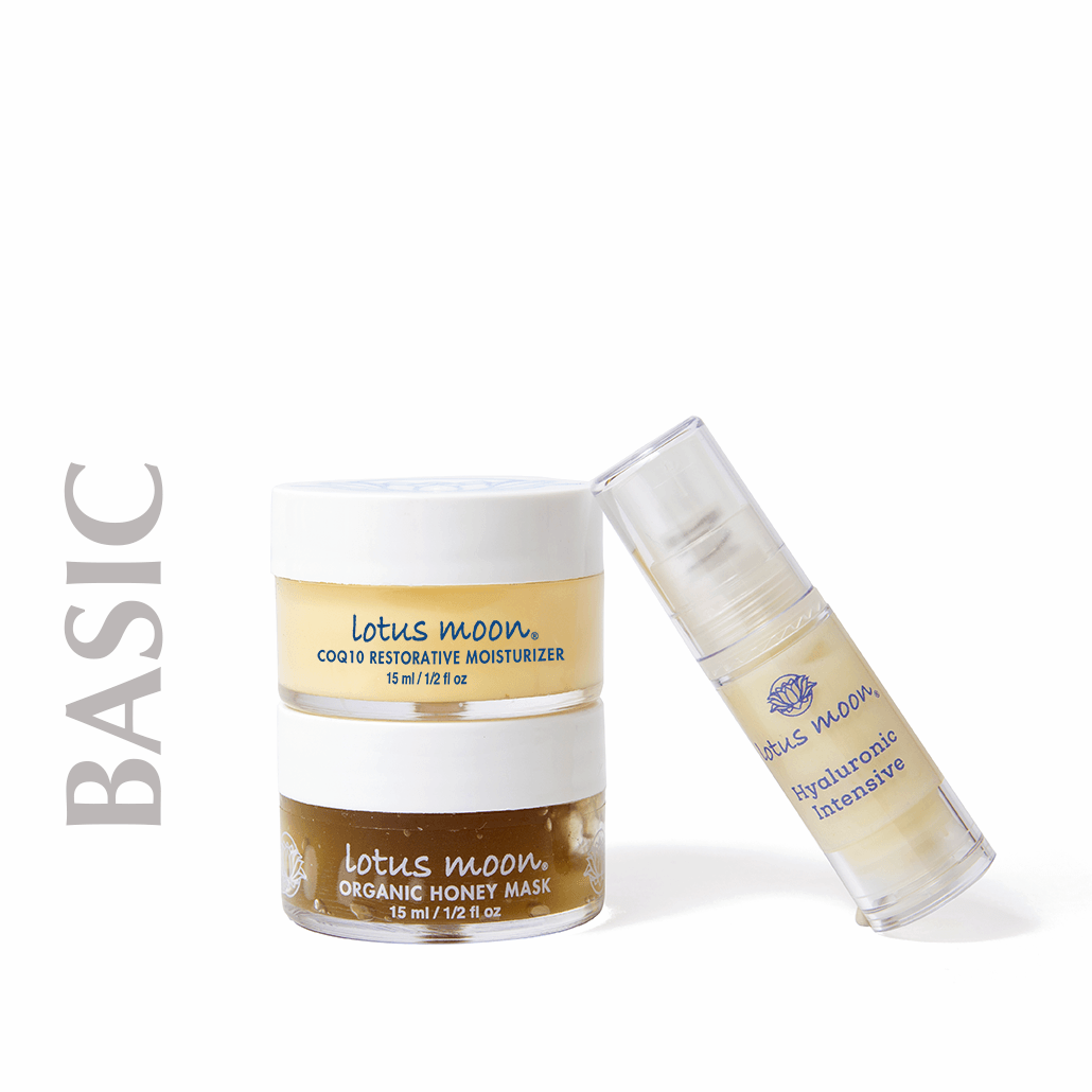 In Balance Discovery Kit (Basic) — Lotus Moon Skin Care