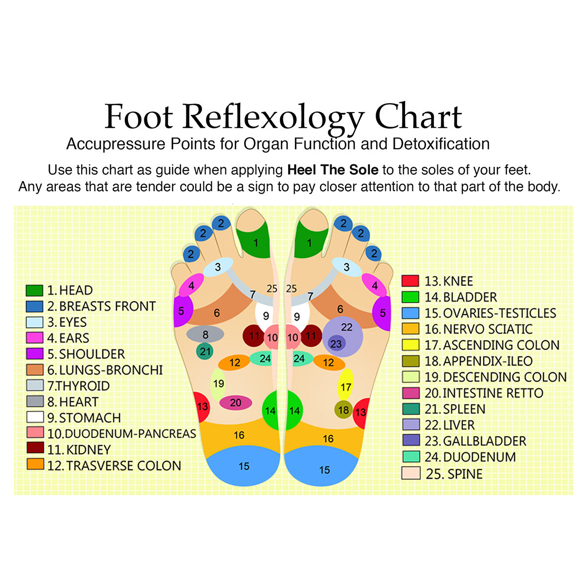 Foot Acupressure And Reflexology Chart in Illustrator, PDF - Download |  Template.net